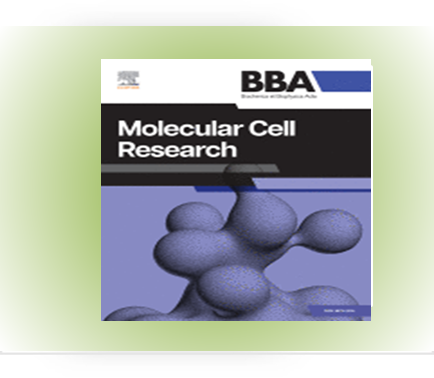 Anti-tumor response by targeting glucose metabolism and depletion of membrane cholesterol...